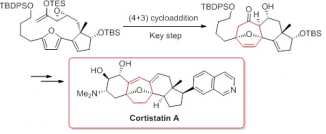 Key step in the synthetic route to cortistatin A
